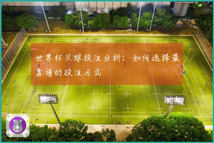 世界杯买球投注分析：如何选择最靠谱的投注方式