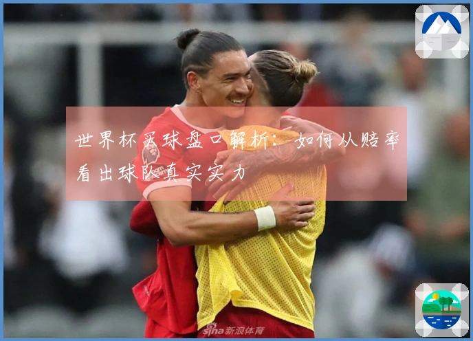 世界杯买球盘口解析：如何从赔率看出球队真实实力