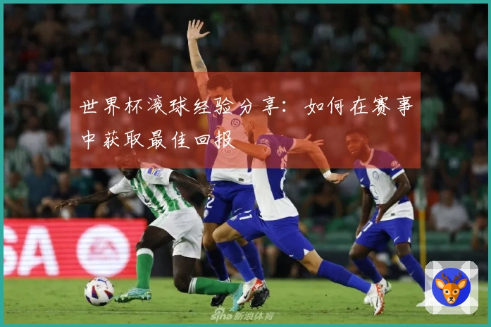 世界杯滚球经验分享：如何在赛事中获取最佳回报