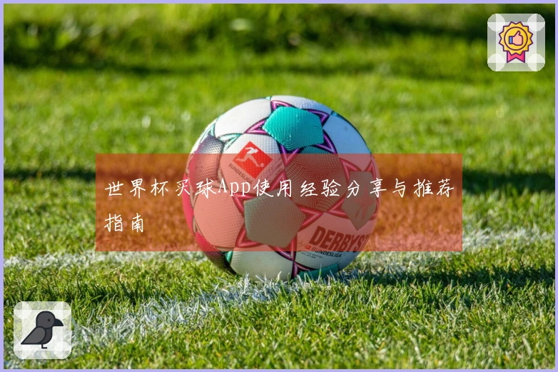 世界杯买球App使用经验分享与推荐指南
