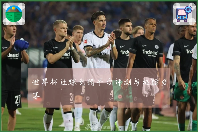 世界杯让球竞猜平台评测与经验分享