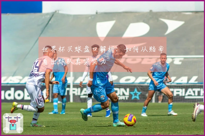 世界杯买球盘口解析：如何从赔率看出球队真实实力