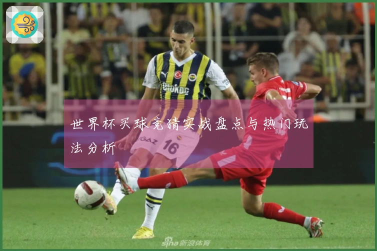 世界杯买球竞猜实战盘点与热门玩法分析
