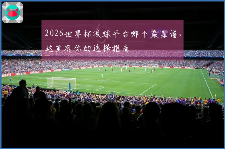 2026世界杯滚球平台哪个最靠谱，这里有你的选择指南