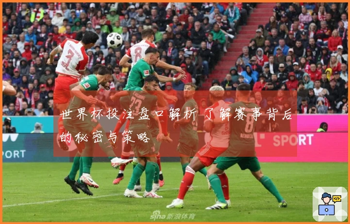 世界杯投注盘口解析 了解赛事背后的秘密与策略