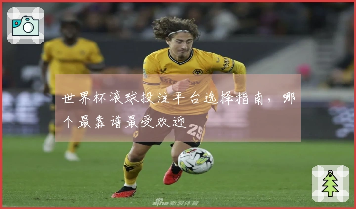 世界杯滚球投注平台选择指南，哪个最靠谱最受欢迎